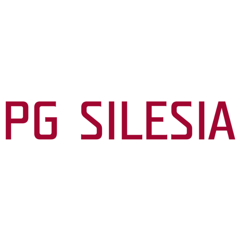 Logo PG Silesia