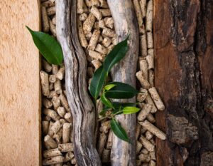 Na zdjęciu jest pellet drzewny między kawałkami drewna i liśćmi, ilustrując proces przemiany biomasy w paliwo.