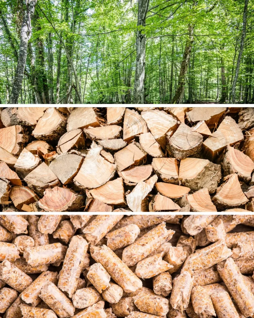 Trzy etapy produkcji pelletu drzewnego: las, pocięte drewno oraz gotowy pellet, ilustrujące drogę od surowca do ekologicznego paliwa.