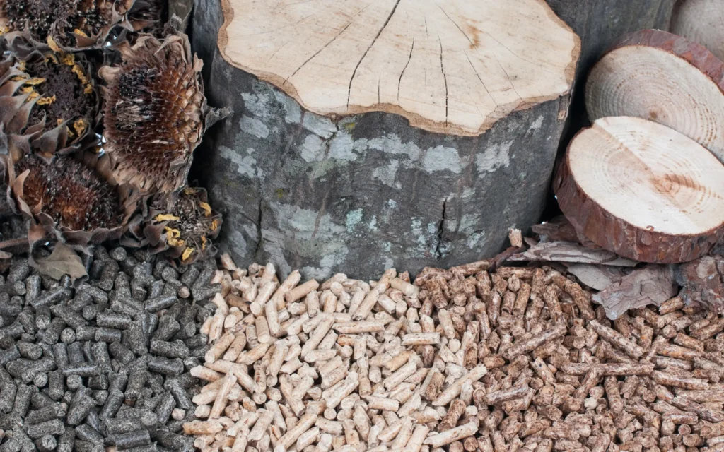 Porównanie różnych typów biopaliw: pellet, drewno i szyszki na podłożu.