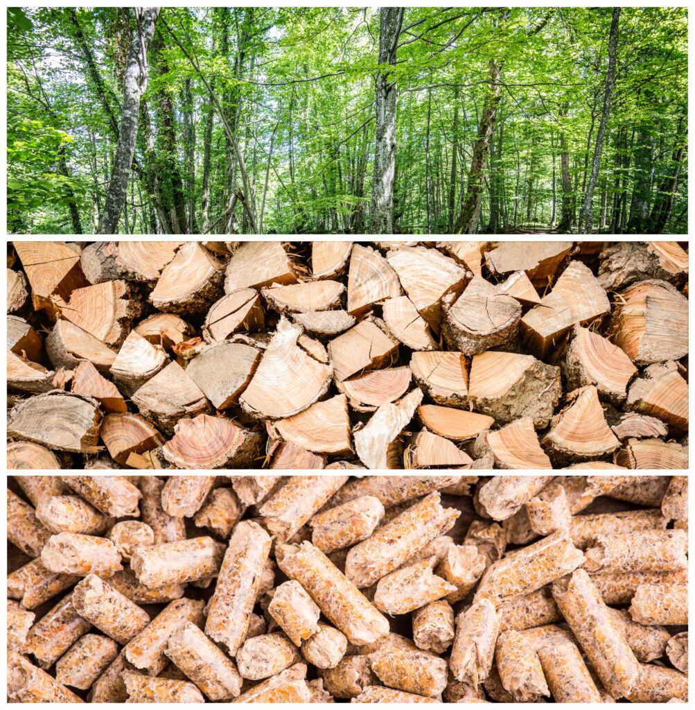 ZdjÄ™cie kolaÅ¼owe przedstawia trzy rÃ³Å¼ne etapy produkcji pelletu: las liÅ›ciasty, uÅ‚oÅ¼one drewno opaÅ‚owe oraz gotowy pellet.